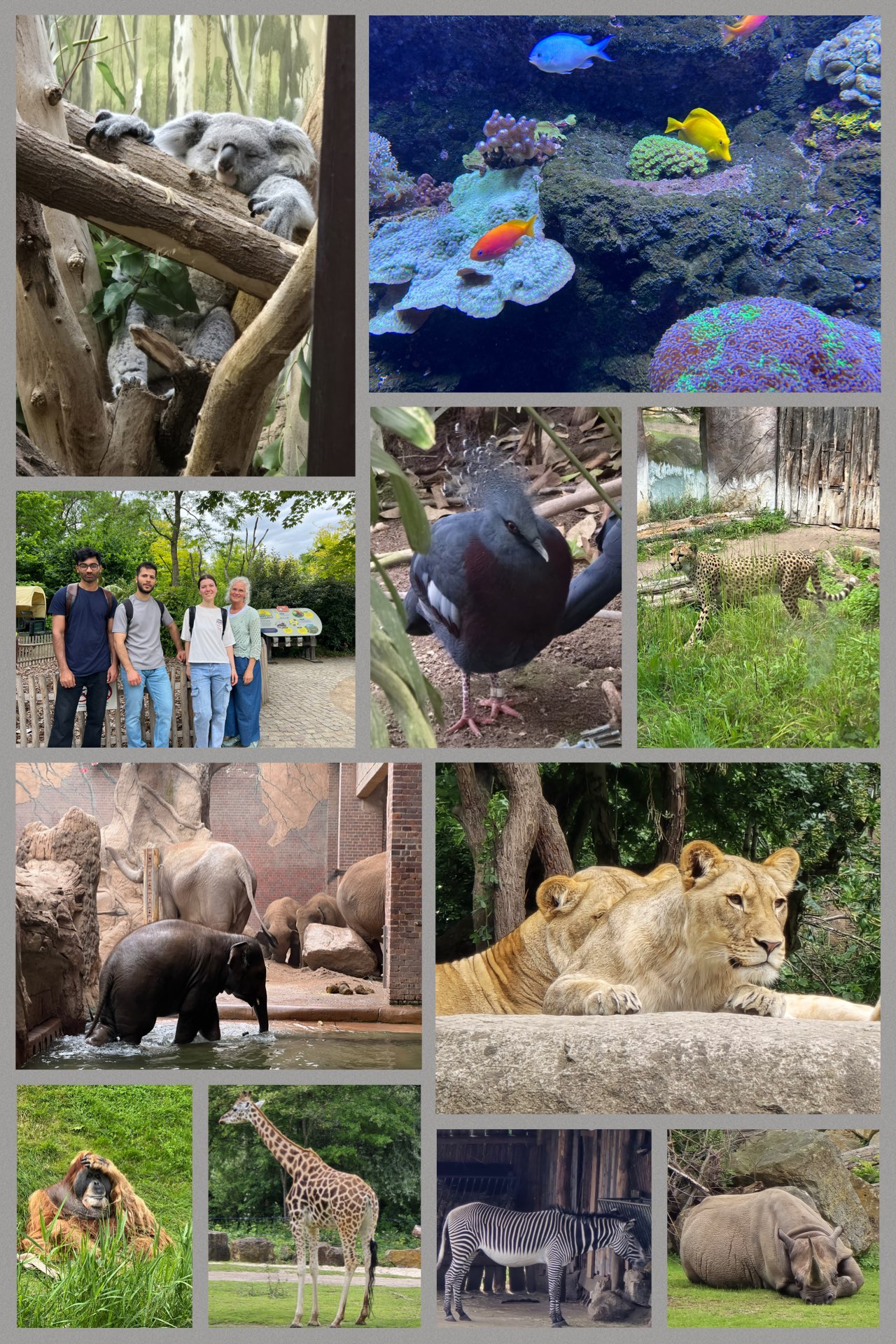 20250715 zoo leipzig